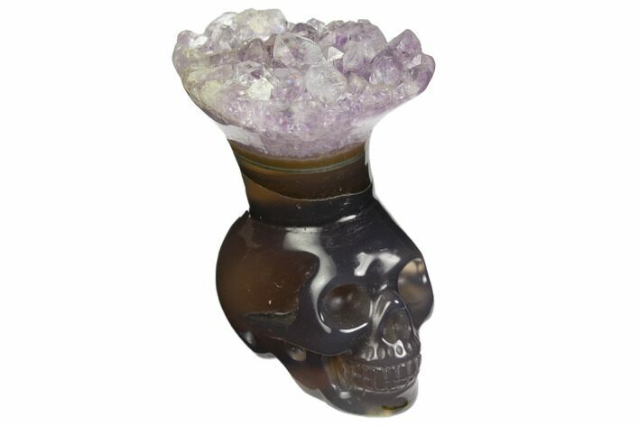 Polished Agate Skull with Amethyst Crown #149564